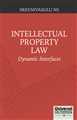 Intellectual Property Law- Dynamic Interfaces